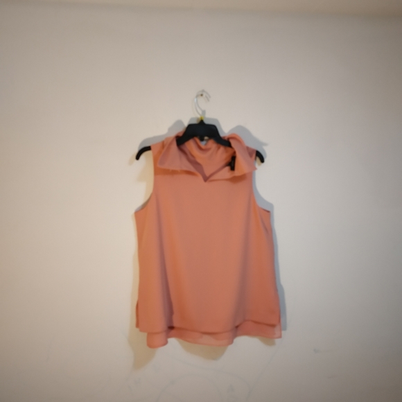 Alfani - Picture 7 of 7